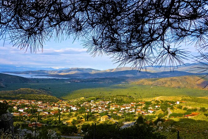 Divine Delphi & Ancient Trail Hike Private Day Trip - Pricing and Terms