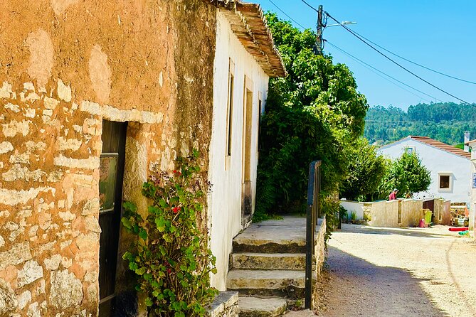 Divine Journey : Fatima Full Day Private Tour - Cancellation Policy