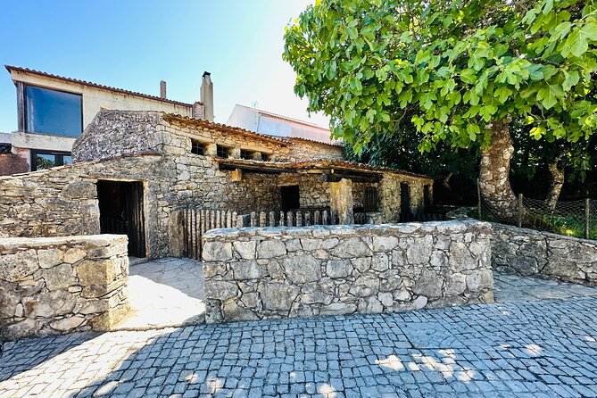 Divine Journey : Fatima Full Day Private Tour - Price and Booking