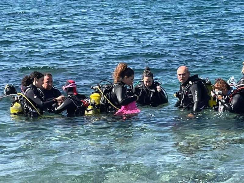 Diving - The Practical Side: Logistics and Value