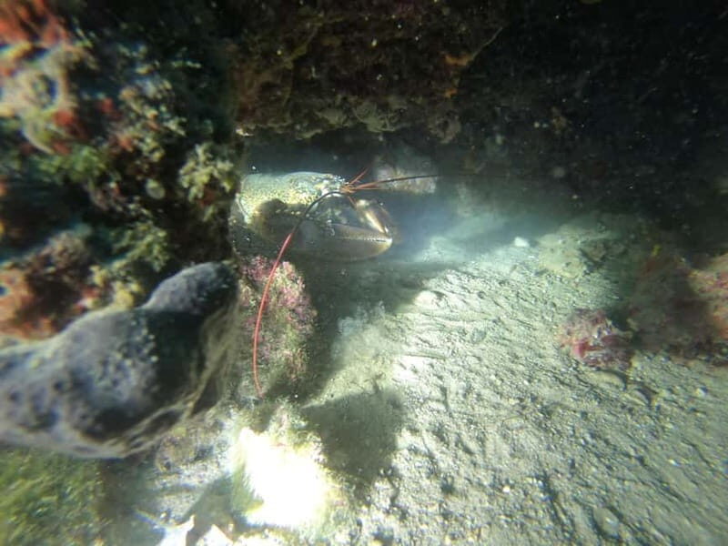 Diving - Good To Know