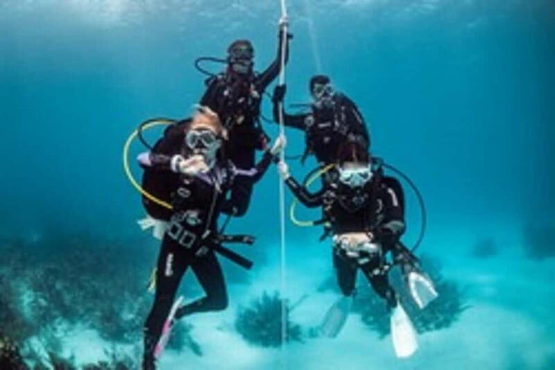 Diving - The Photo and Certification