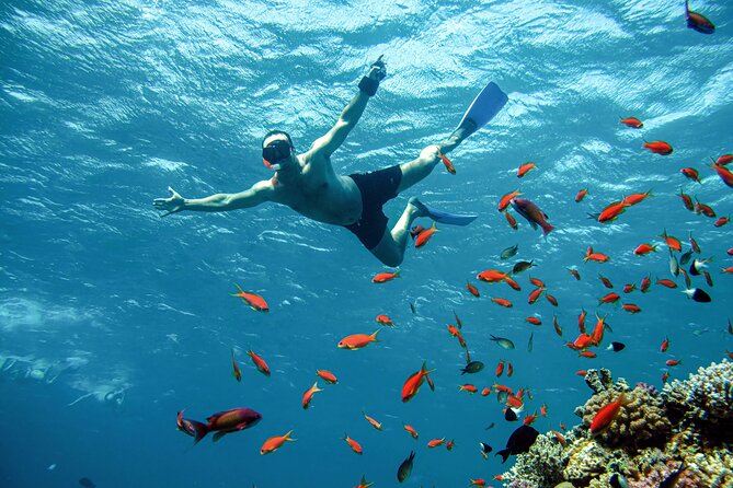Diving and Snorkeling at Paradise Island Boat Trip Hurghada - Inclusions and Exclusions