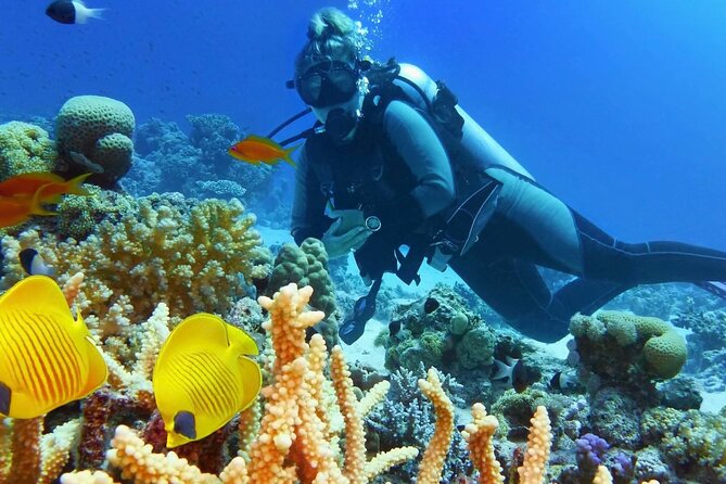 Diving and Snorkeling Day Trip By VIP Boat From Hurghada - Good To Know