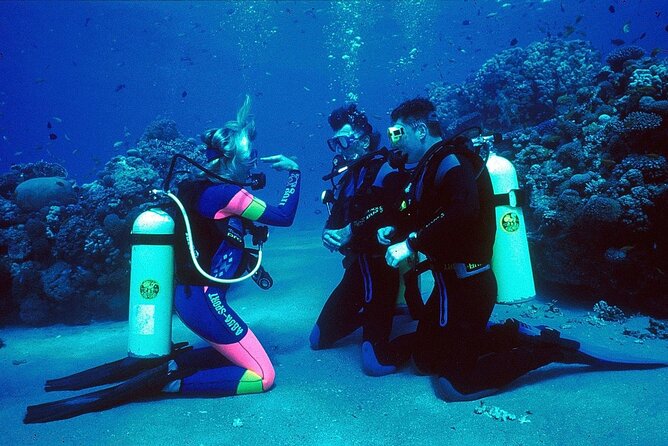 Diving and Snorkeling Day Trip By VIP Boat From Hurghada - Booking and Cancellation Policy