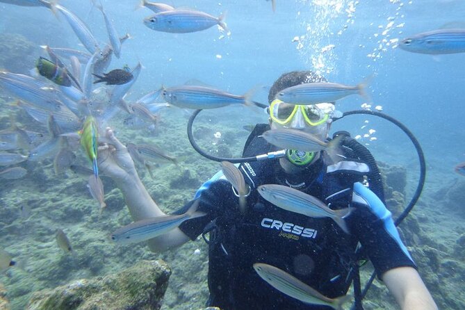 Diving At Galleon and Chimney From Marmaris - Dive Sites Overview