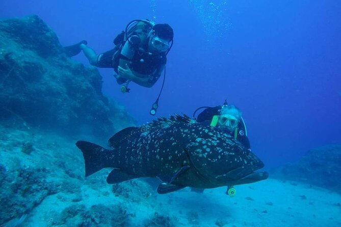Diving At Galleon and Chimney From Marmaris - Inclusions and Optional Extras