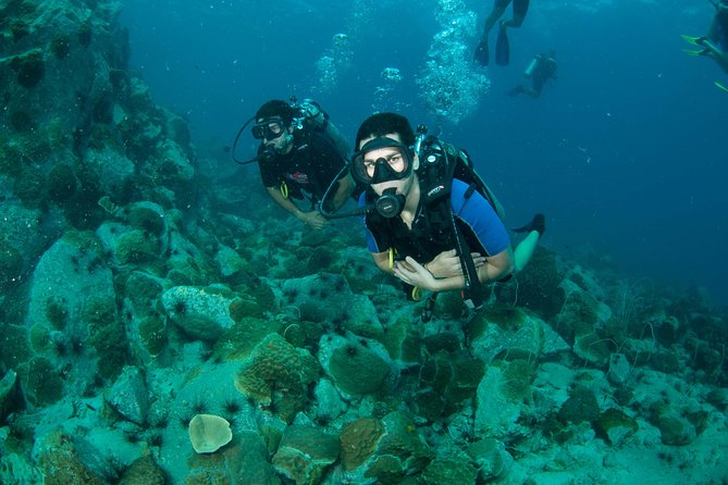 Diving at Koh Chang, Daytrip With 2 Dives - Pickup Details