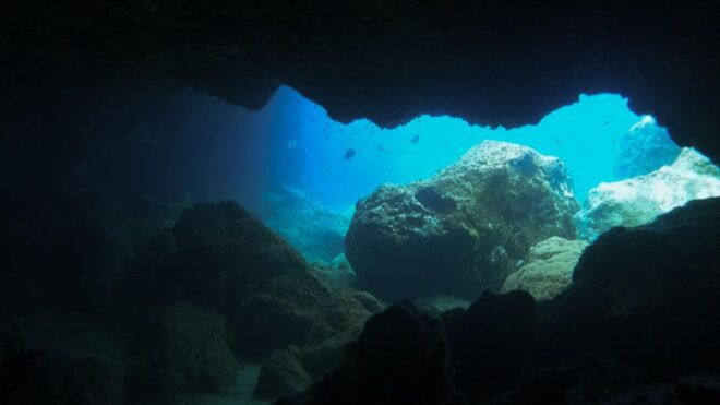 Diving at Lanzarote - 2 Guided Dives for Certified Divers - Frequently Asked Questions