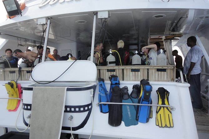 Diving Baptism - Additional Information and Support