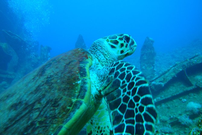 Diving Baptism - The Sum Up