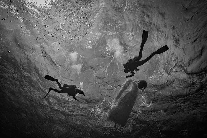 Diving Baptism With Cylinders (Introdive) at the Capo Carbonara Marine Protected Area - Frequently Asked Questions