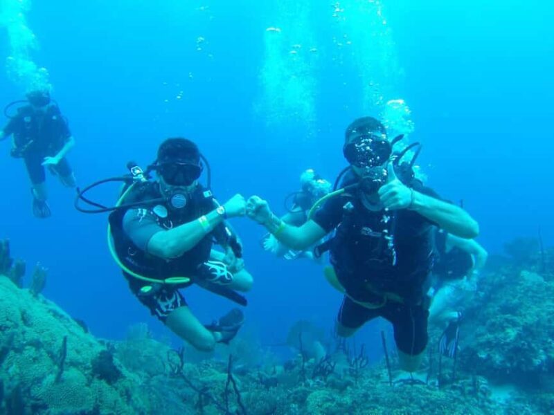 diving catalina island from punta cana - What Makes This Tour Stand Out?