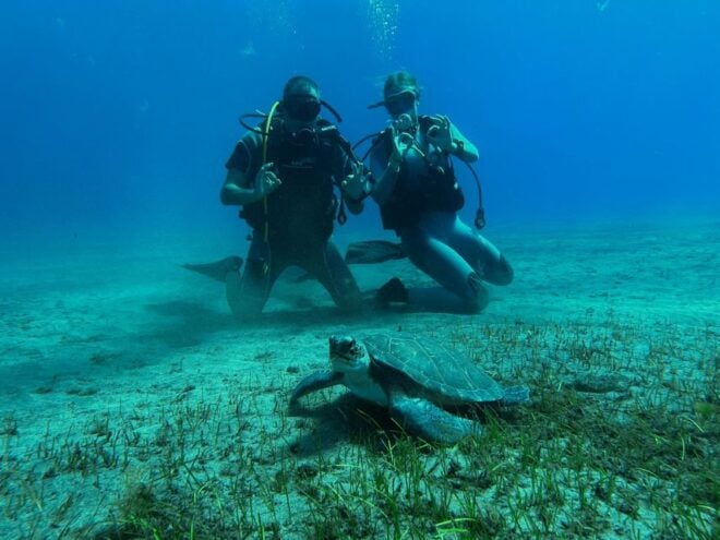 Diving Course for Beginners in Turtle Area Tenerife - Inclusions