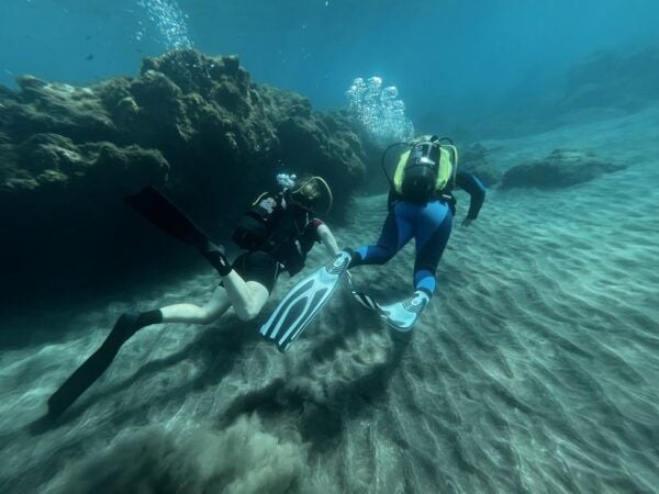 Diving Course for Beginners in Turtle Area Tenerife - Pricing Information