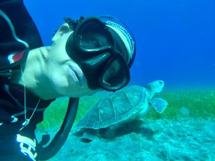 Diving Course for Beginners in Turtle Area Tenerife - Location Details