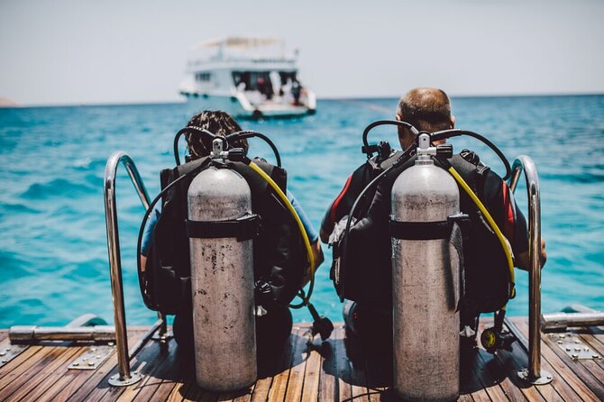Diving Day Trip by Boat at Ras Mohamed in Sharm El Sheikh - Good To Know