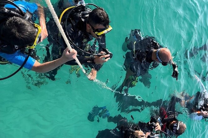 Diving Experience by Boat in Dubai - Boat Diving in Dubai