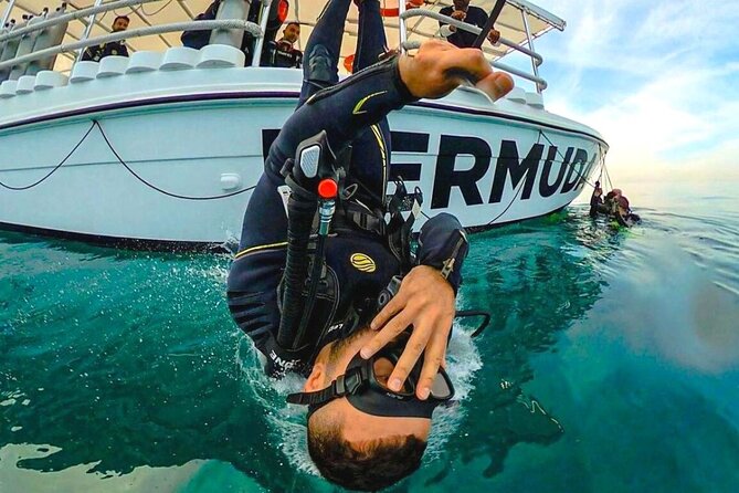 Diving Experience by Boat in Dubai - The Sum Up