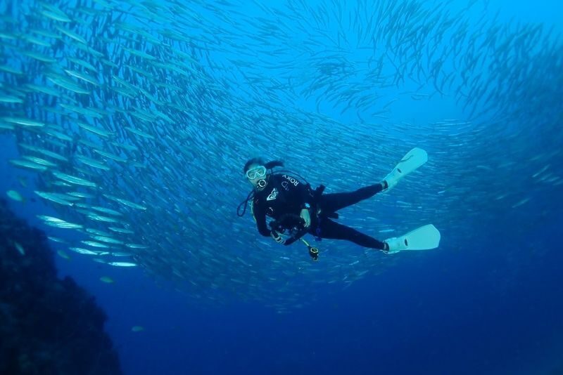 Diving Experience by SSI Czone Dive Center in Koh Tao - Help with equipment, and one photo caveat
