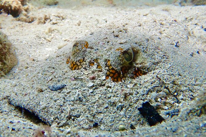 Diving for Certified Divers, 2 Tanks Sosúa Bay - Important Information