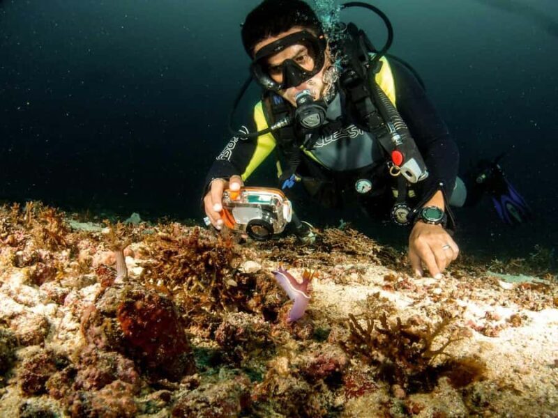 Diving in Boracay: Fundive for Certified Divers - An In-Depth Look at Boracay’s Dive Opportunities