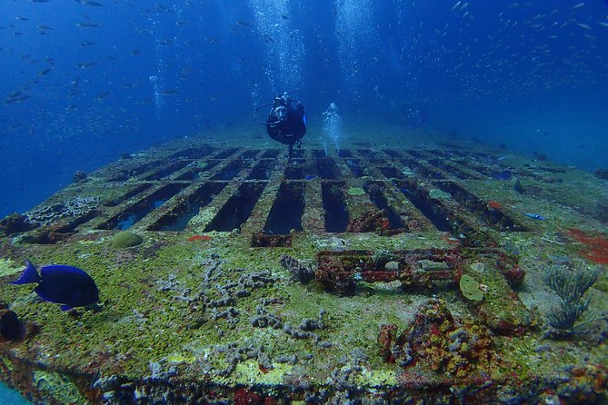 Diving in Cancun for Certified Divers 2 Dives All Inclusive - Requirements and Limitations for Participants