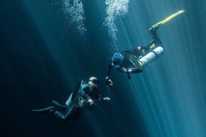 Diving in Cenotes: Discovering the Mayan Underworld - Types of Cenotes for Diving