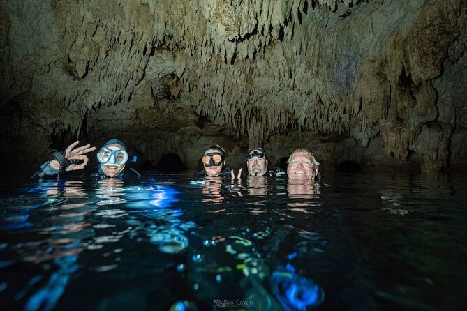 Diving in Cenotes: Discovering the Mayan Underworld - Flora and Fauna in Cenotes