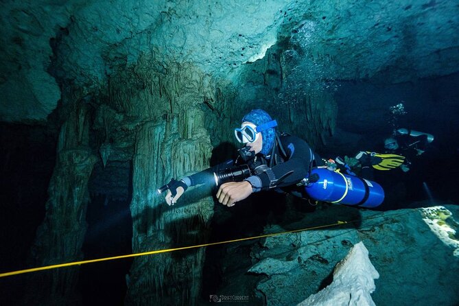 Diving in Cenotes: Discovering the Mayan Underworld - Best Cenotes for Diving in the Mayan Riviera