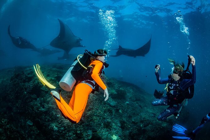 Diving in Nusa Penida - Booking Information