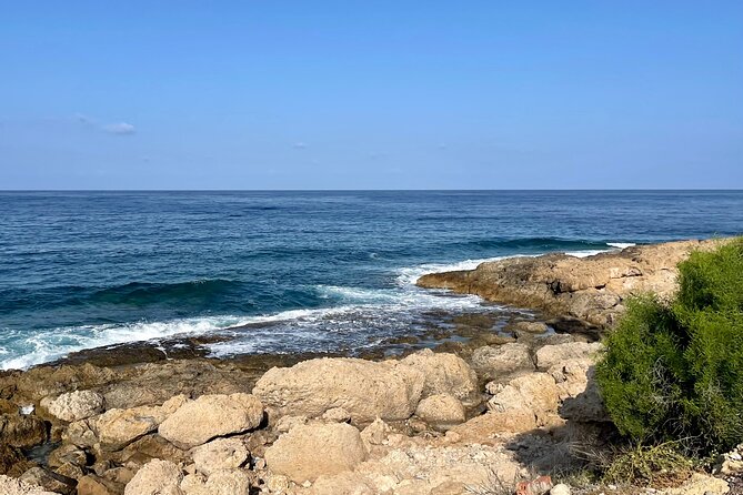 Diving in Paphos (2 X Shore Dive + Photos) - Customer Reviews and Testimonials