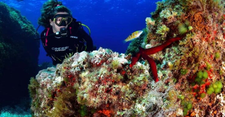 Diving Is Fun!!! for Certified Divers - Experience Details