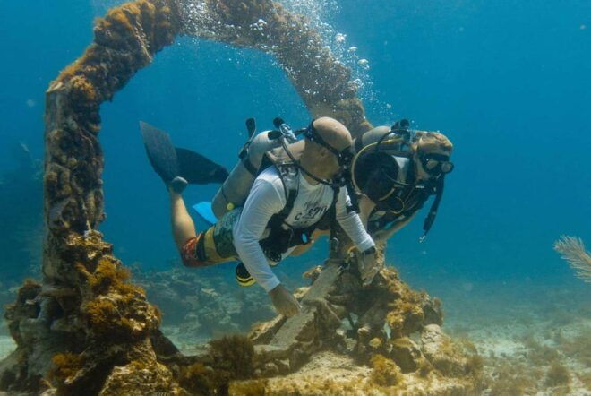 Diving + MUSA - Important Information