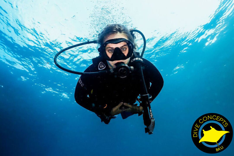 Diving / Open Water Course at Menjangan Marine Park by Dive Concepts - Menjangan is the reason to go