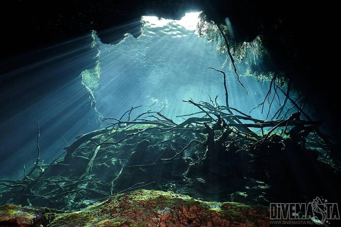 Diving package Cenotes exploration - Who Should Consider This Tour?