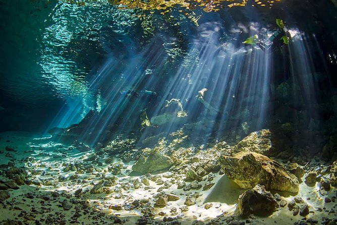Diving Package Sea and Cenotes - Meeting and Pickup Details