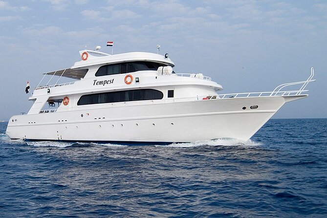 Diving & Snorkeling Day to White Island And Ras Mohamed VIP Boat - Activities Offered