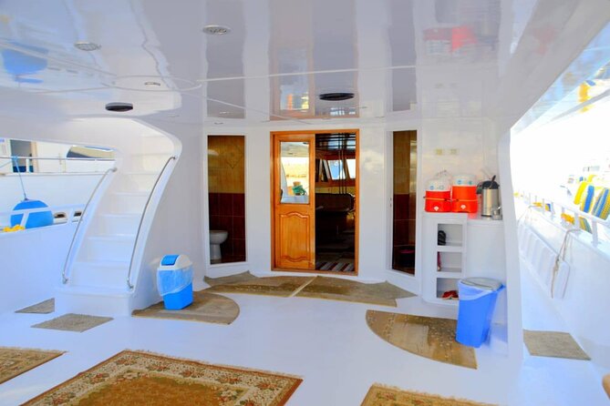 Diving & Snorkeling Day to White Island And Ras Mohamed VIP Boat - Additional Travel Information