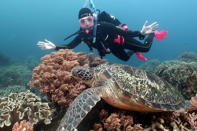 Diving & Snorkeling Day to White Island And Ras Mohamed VIP Boat - Cancellation Policy and Weather Contingencies