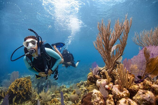 Diving & Snorkeling Day to White Island And Ras Mohamed VIP Boat - Common Questions