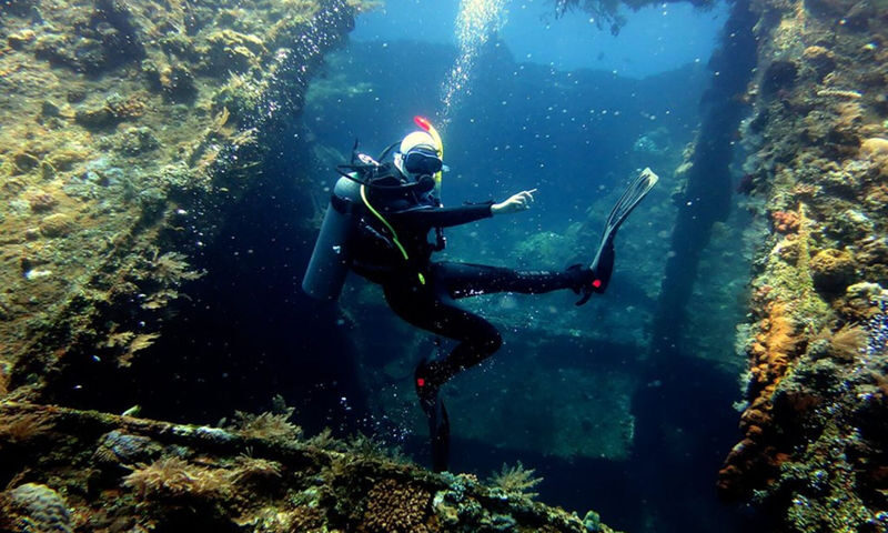 Diving Tour for Non-Certified Divers by Bali Diving - Key points to know before booking