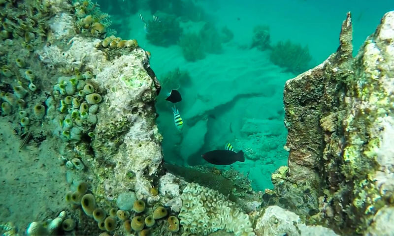 Diving Tour for Non-Certified Divers by Bali Diving - A long day from Sanur to Tulamben