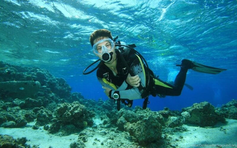 Diving Tour from Alanya & Side with Lunch - 2 Dives Included - What We Love About This Tour
