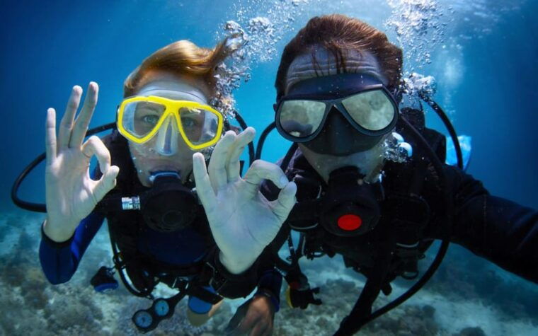 Diving Tour from Alanya & Side with Lunch - 2 Dives Included - What Could Be Better
