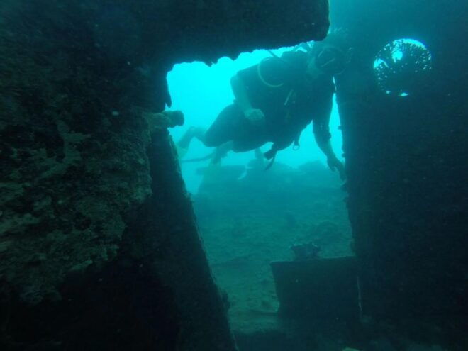 Diving Tour Karimunjawa (Private Tour) - Important Notes