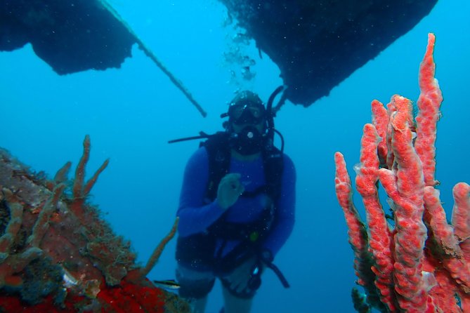 Diving Trip for Certified Divers. - Equipment Requirements