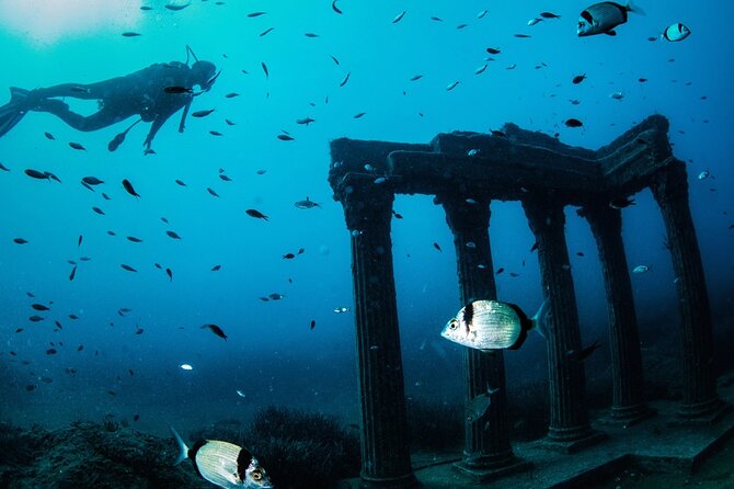 Diving Trip in Side With Underwater Museum Tour Diver Training - Diver Training Information