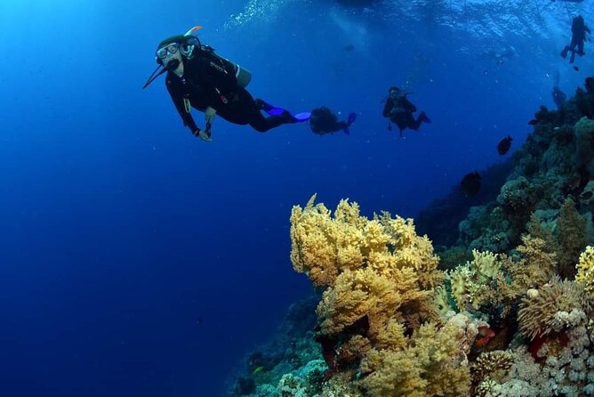 Diving With Boat Trip to Ras Mohammed &White Island Snorkeling, Sharm El Sheikh - Activity Highlights
