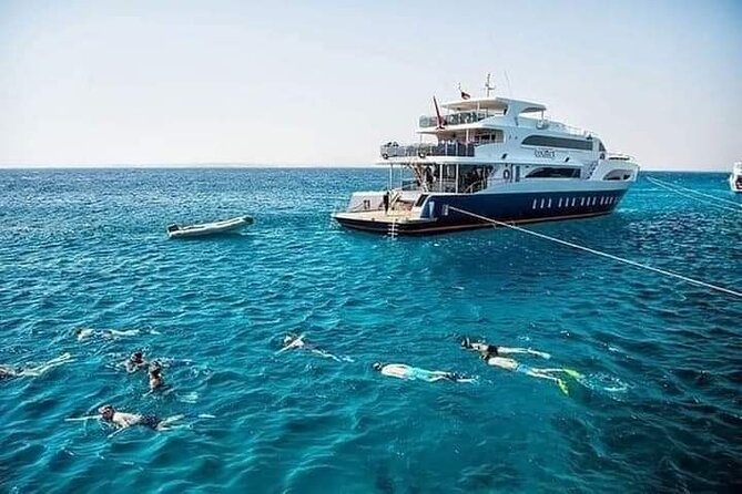 Diving With Boat Trip to Ras Mohammed &White Island Snorkeling, Sharm El Sheikh - Tour Operator Information